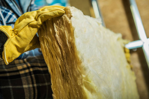 Best Insulation Contractor Near Me  in Buena Vista, VA