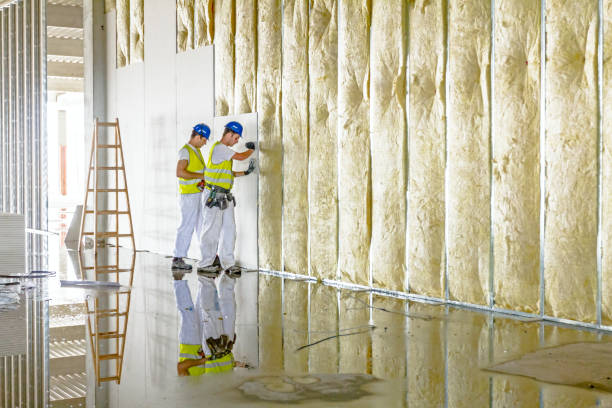 Best Fiberglass Insulation  in Buena Vista, VA